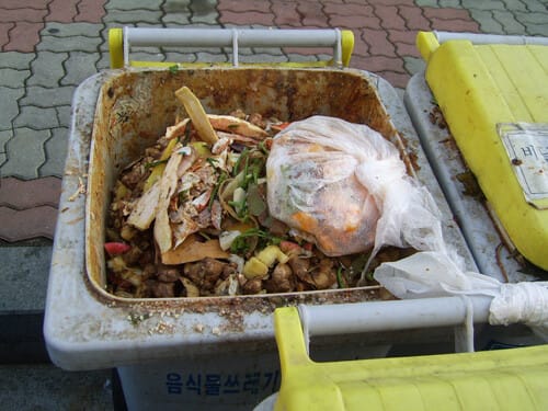 아침 입냄새를 음식물 쓰레기통에 비유해서 설명중, 음식물 쓰레기가 며칠동안 쓰레기통에 방치되어 부패되어가는 모습