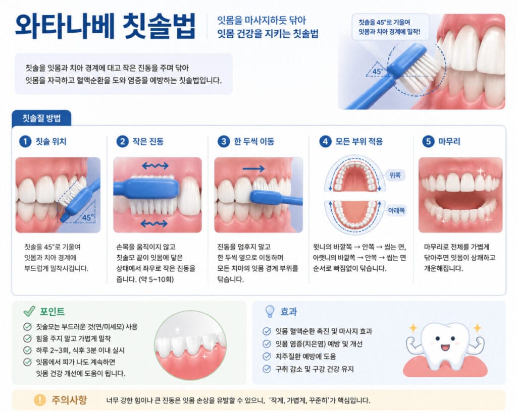 치아 건강에 도움이 되는 와타나베 칫솔법을 설명하고 있음  45도 각도의 칫솔위치로, 작은진동을 주면서 모든 치아의 경계부위를 닦는다